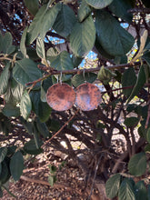 Load image into Gallery viewer, Hammered Copper Disc Earrings
